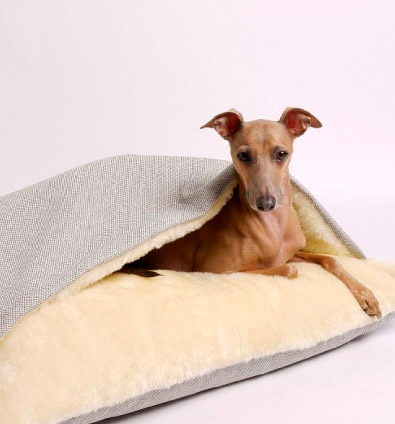 Pillow Bed - Nuku camas para perros