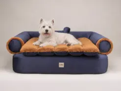 Cama para perro Sofa Queen Azul