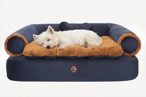 Cama para perro Sofa Queen Azul