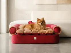 Cama para perros Sofa Queen Vino