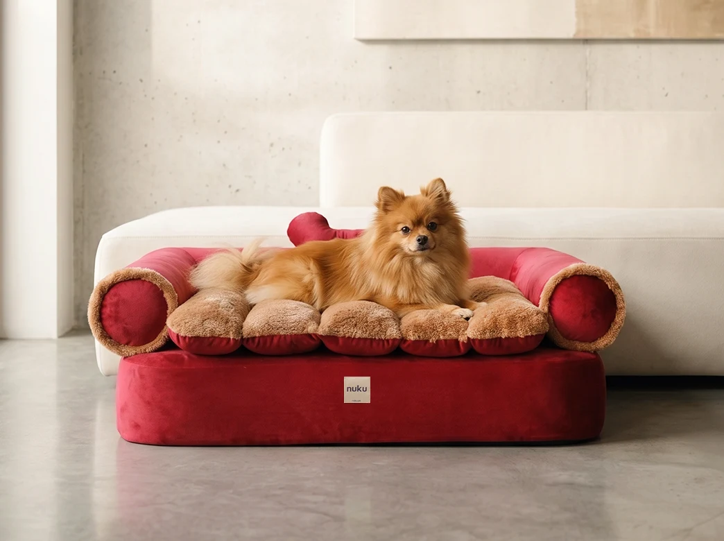 Cama para perros Sofa Queen Vino