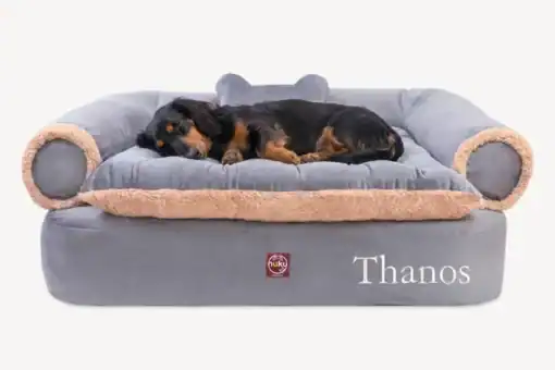Cama para perro Sofa Queen Gris