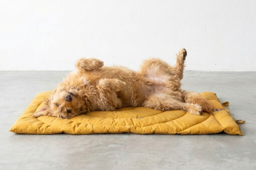 Mat para perros - Imagen 3