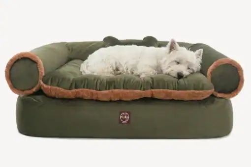 Sofa Queen Verde