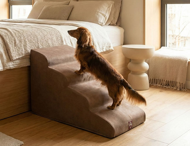 Escalera para perros de cuatro pasos acolchada, ideal para subir a la cama de forma segura y cómoda en interiores