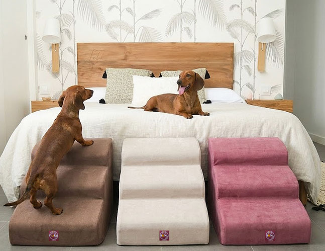 escaleras para perros colores y tamaños