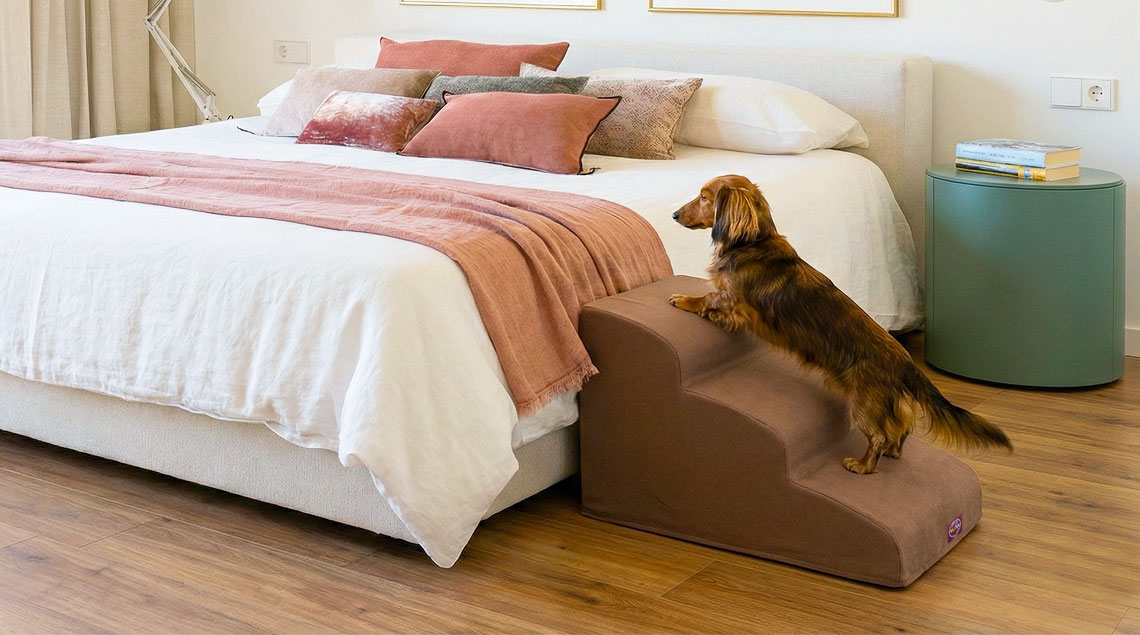 Rampas y escaleras para perros