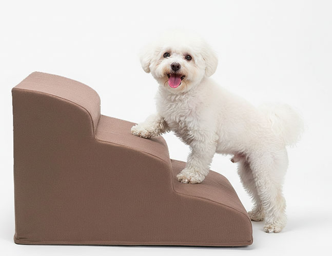 Escaleras y rampas para perros en Arequipa