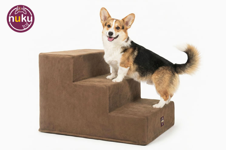 Escaleras para perros de 3 gradas - Imagen 2