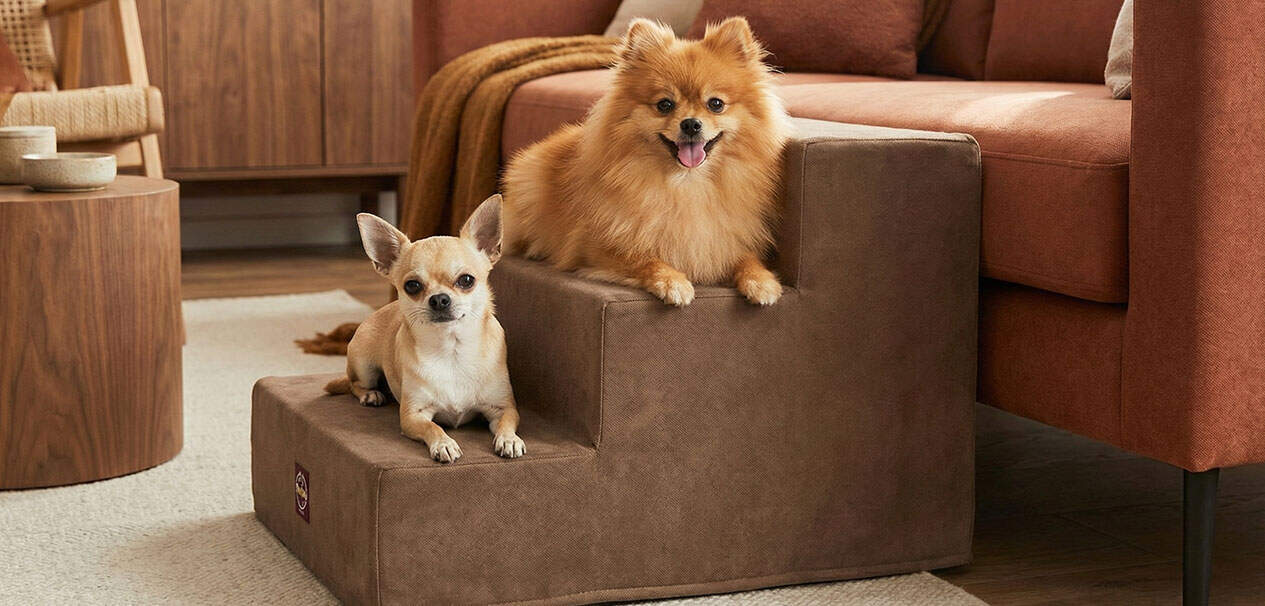 Camas para perros en peru Hamaca Cama Para perro