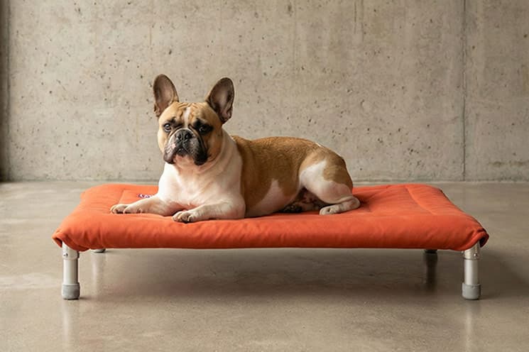 Hamaca NUKU de Algodón Premium – Confort Elevado y Estilo Minimalista - Ocre - Imagen 2