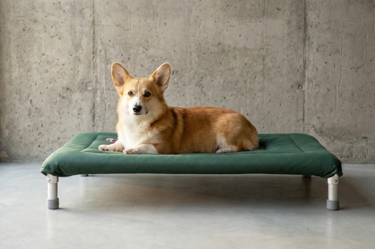 Hamaca NUKU de Algodón Premium – Confort Elevado y Estilo Minimalista - Verde - Imagen 2