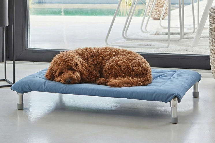 Hamaca NUKU de Algodón Premium – Confort Elevado y Estilo Minimalista - Celeste - Imagen 2