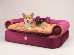 Sofá para perro Magenta oscuro - Imagen 3