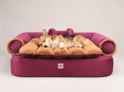 Sofá para perro Magenta oscuro