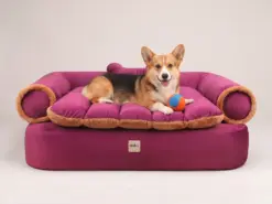 Sofá para perro Magenta oscuro - Imagen 2